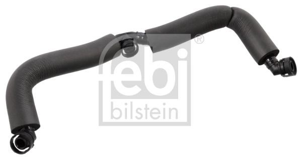 Hose, crankcase ventilation